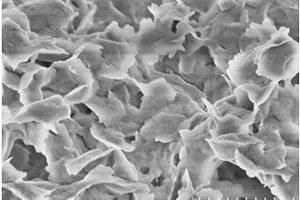 硅酸镁锂化合物及其制备方法