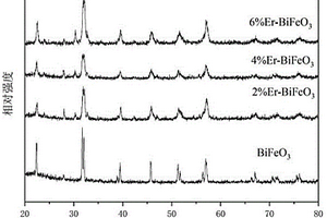 铒离子掺杂BiFeO<Sub>3</Sub>活化过二硫酸盐降解2,4-二氯苯酚的方法