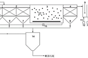 痕量污染物去除及污泥减量的污水处理系统及工艺