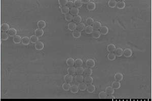 制备聚倍半硅氧烷微球的绿色环保方法