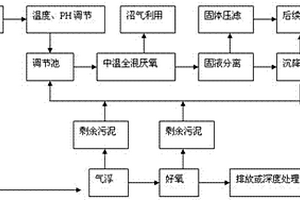 中温高浓度高悬浮物有机废水处理的工艺