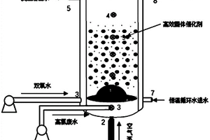 针对高盐难降解废水的高效异相类芬顿反应器