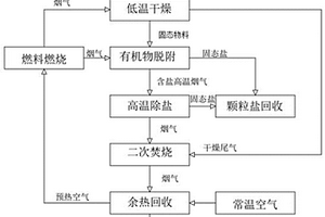 高含盐有机废水处置方法