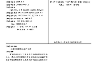 由废材料提取尼龙的方法