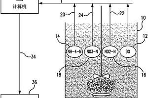 用于从废水中最大化脱氮的方法和装置