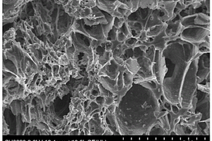 半焦分质联产多孔活性炭与类石墨烯气凝胶的方法