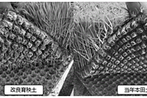 人工腐殖质改良水稻育秧土的方法