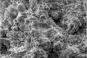 碳酸盐胶凝材料及其制备方法