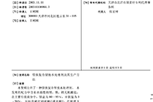 镁铁复合型废水处理剂及其生产方法