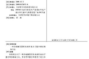 含硫脲基团的水溶性高分子螯合剂及制备方法