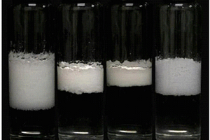 利用颗粒稳定的泡沫快速净化水中重金属离子的方法