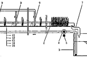 循环流水水产养殖系统污水水培牧草植物滤器