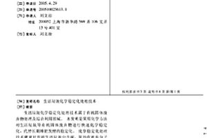 生活垃圾化学稳定化处理技术