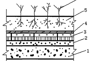 屋顶绿化系统及绿化方法