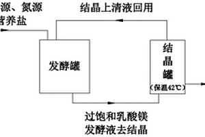 基于结晶法发酵分离耦合生产乳酸镁的方法