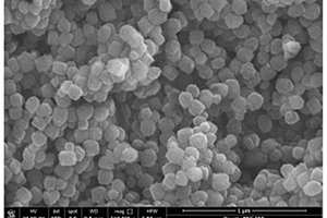 基于粉煤灰制备ZSM-5分子筛的方法