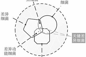 基于细菌群落数据好氧发酵腐殖质化程度预测模型的构建和预测的方法