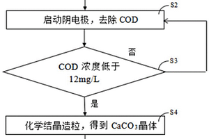 电化学结晶造粒系统处理电厂循环排污水的方法