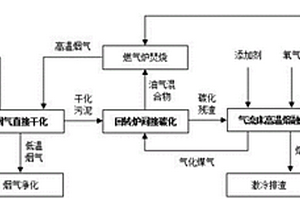 污泥碳化耦合熔融处理的方法和系统