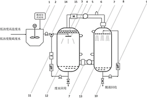 高盐工业废水资源化与回用装置