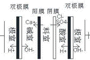 双极膜法利用磷石膏制备硫酸的方法