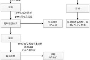 从文冠果鲜果壳中连续提取粗蛋白质、多糖、纤维素的方法