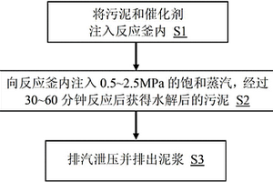 污泥催化热水解处理方法及其应用