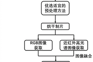 基于RGB和高光谱图像融合的碎塑料和微塑料检测方法