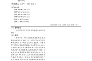 利用干式厌氧发酵和低温碳化处理污泥的技术