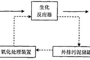 基于隐性生长工艺的污泥减量化工艺及装置