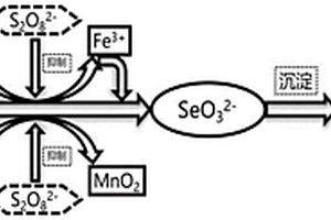 用于湿法烟气脱硫系统的硒原位脱除方法及装置