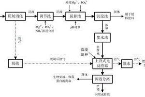 利用鸟粪石沉淀耦合微藻培养进行沼液和沼气净化的方法