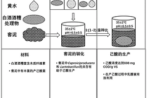 通过富集窖泥中己酸功能菌发酵白酒酒糟产己酸的方法