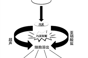 促进剩余污泥减量化的方法