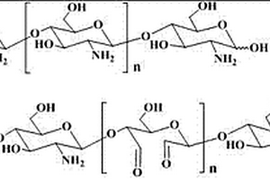 氧化壳寡糖用于改性聚氨酯的用途、其制备的水性聚氨酯、胶黏剂及制备方法