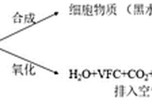 黑水虻养殖方法