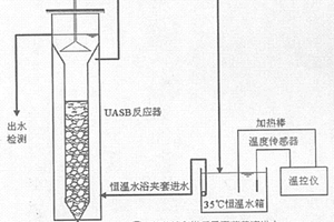 能降解氯酚的厌氧菌的筛选方法