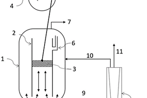 用于动物细胞培养的生物反应器