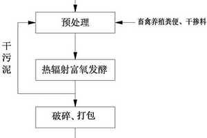 剩余污泥太阳能热辐射富氧发酵处理方法及处理系统