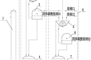 重碱或湿小苏打的提纯系统