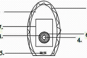 大小便收集护理装置