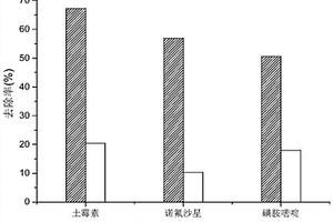 原位催化过硫酸盐消减畜禽粪污抗生素的方法