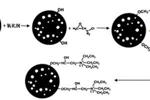 生物炭基阴离子交换剂及其制备方法与应用