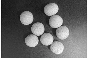 硫酸法提锂渣制得的轻质陶粒及其制备方法和应用