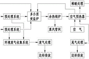 焦化脱硫废盐及粗硫磺制酸的工艺