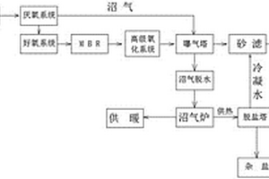 生物柴油废水和沼气的深度处理方法