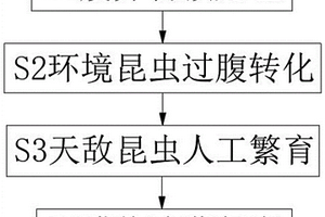 利用茭白秸秆获得白星花金龟繁育叉角厉蝽的方法