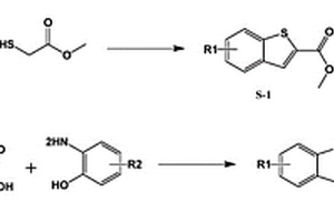 2-（苯并噻吩-2-基）苯并[d]惡唑衍生物、制备方法及应用