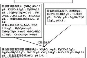 一种以显色反应作辅助手段筛选产酒精代谢产物的兼性固碳氮微生物的筛选方法