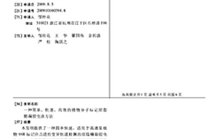 简单、快速、高效的植物分子标记琼脂糖凝胶电泳方法